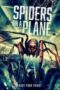 Spiders on a Plane (2024)